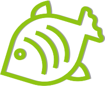 Рыба и морепродукты